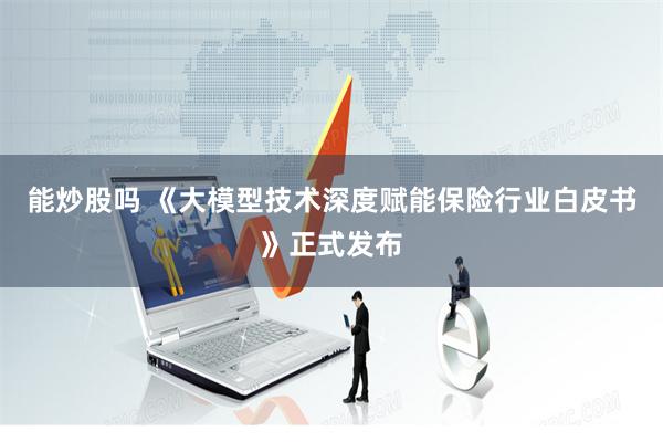 能炒股吗 《大模型技术深度赋能保险行业白皮书》正式发布