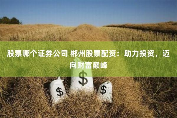 股票哪个证券公司 郴州股票配资：助力投资，迈向财富巅峰
